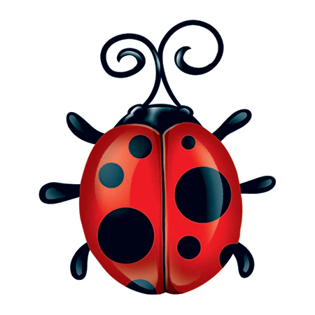 Sweet Ladybug Tatoo