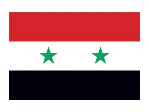Syria Flag Tattoo