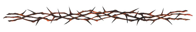Thorns Armband Tattoo