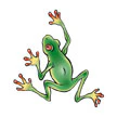 Tree Frog Tattoo