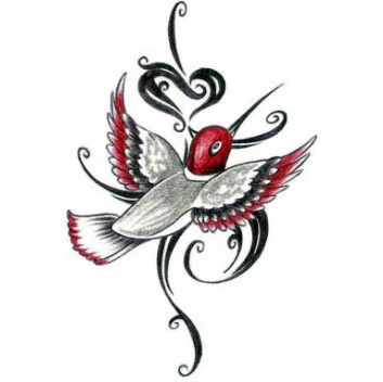 Tribal Humming Bird Tattoo
