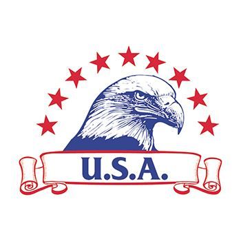 USA Bald Eagle Tattoo