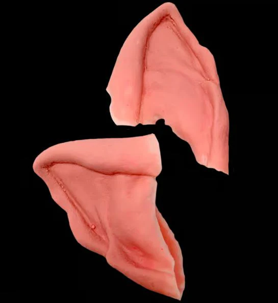 Vampire Latex Ears - Tinsley Transfers - Image 2