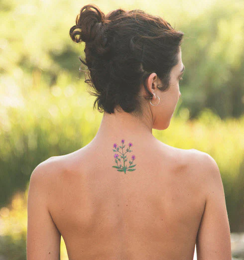 Voynich Plant - Tattoonie - Image 2